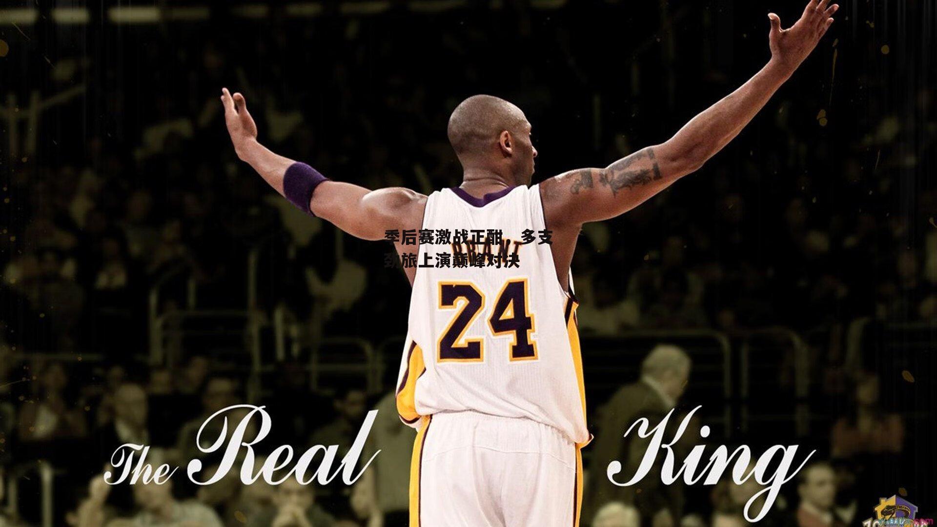 熊猫TV|季后赛激战正酣，多支劲旅上演巅峰对决