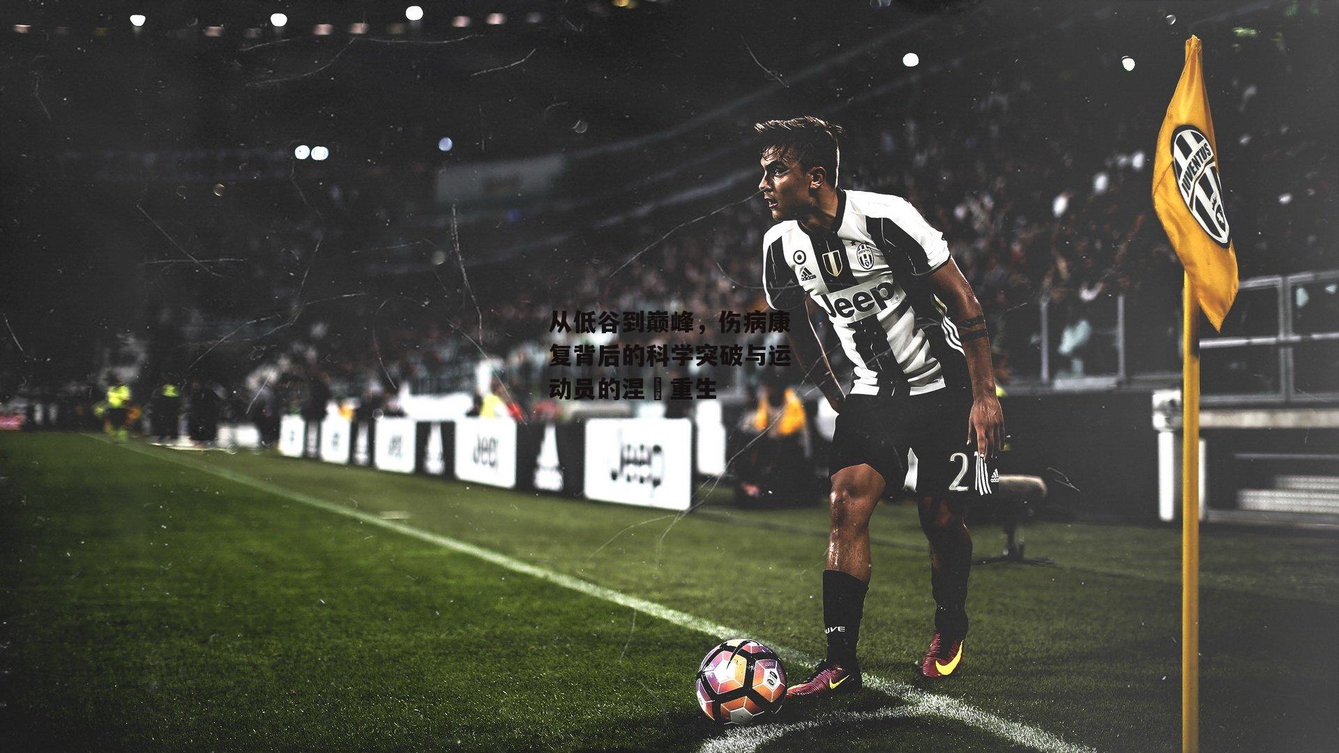 体育赛事直播-从低谷到巅峰，伤病康复背后的科学突破与运动员的涅槃重生