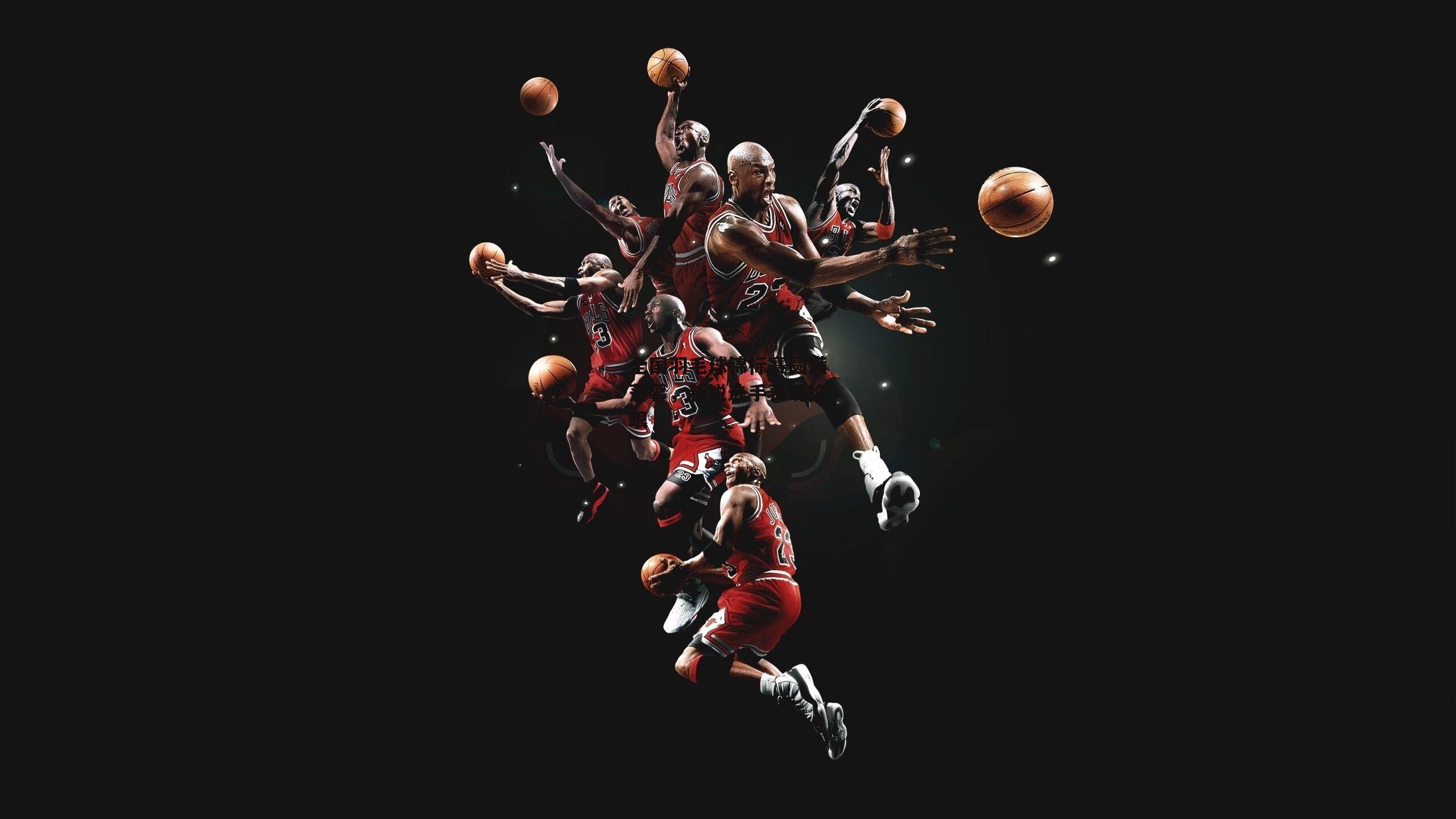 全国羽毛球锦标赛圆满落幕,新锐选手表现抢眼